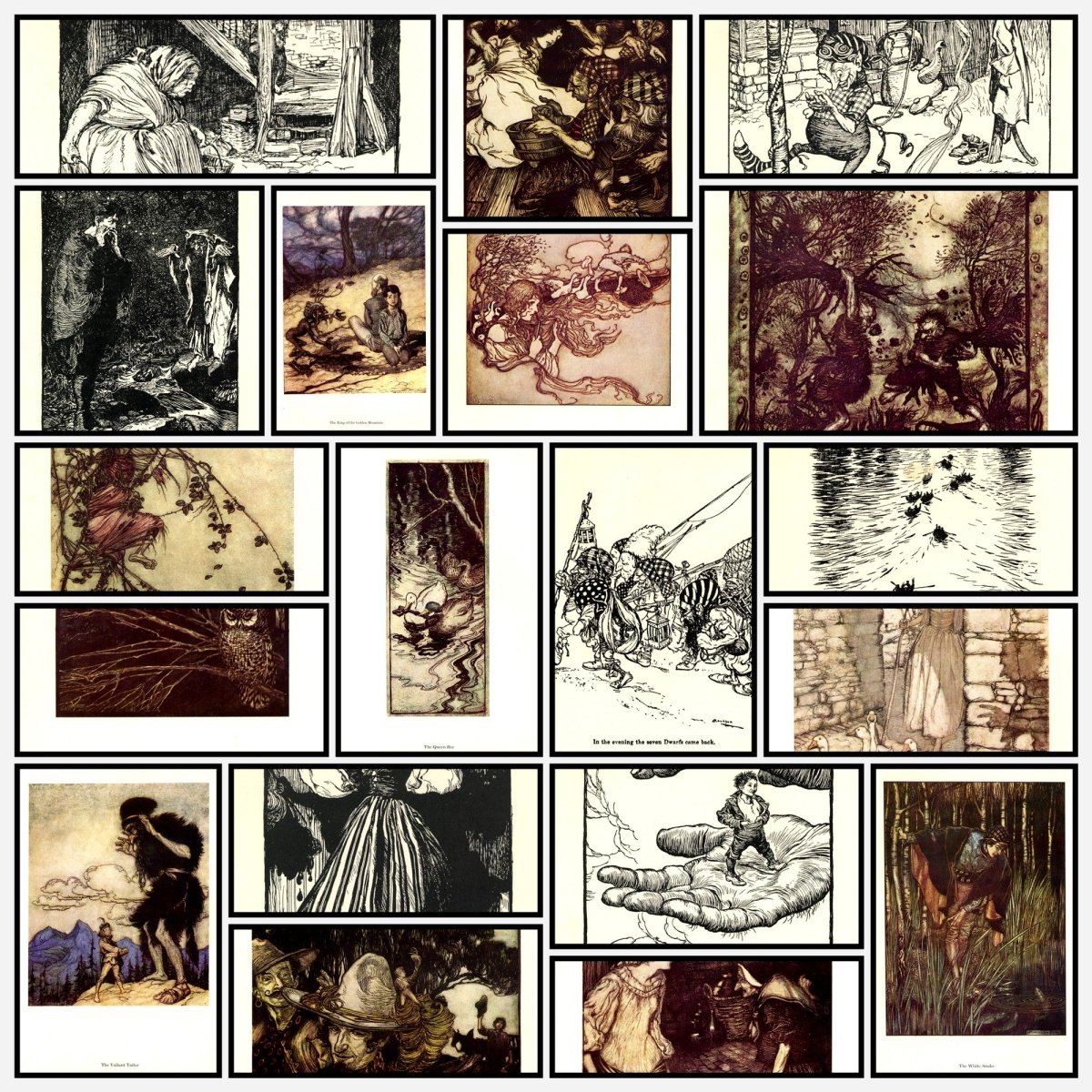 A snapshot of the images