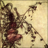 Grimm's Fairy Tales 1909 - Arthur Rackham (1867-1939) - 19 images