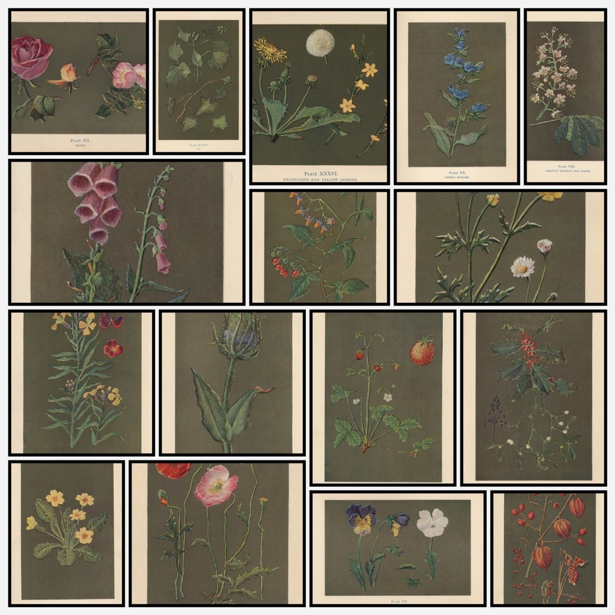 A snapshot of some of the images