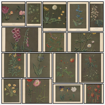 A snapshot of some of the images