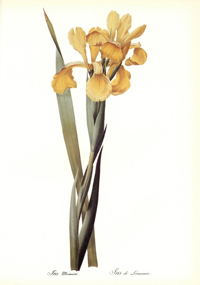 Dimensions 6240 x 8916 pixels