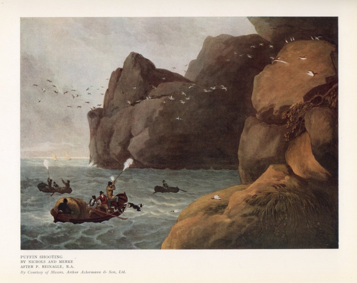 Sporting Prints of the 18th & 19th Centuries - Henry Alken | Dimensions 6060 x 4800 pixels