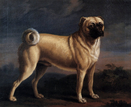 Dimensions 4088 x 3344 pixels