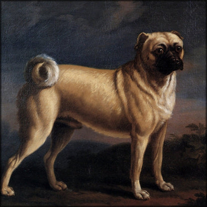 Digital Download - 1 image