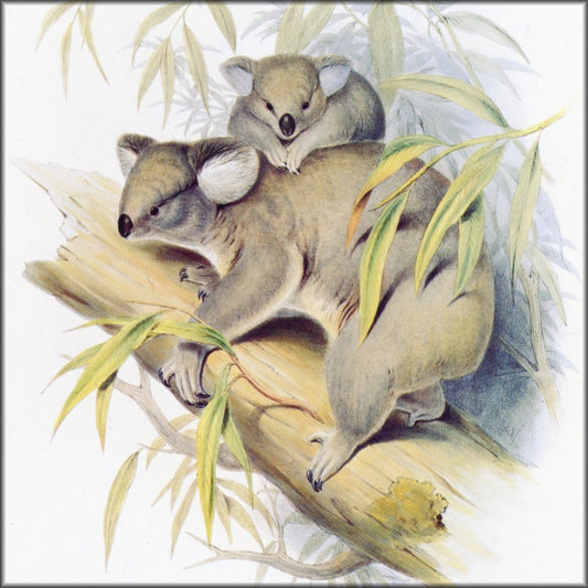 Digital Download - 1 image