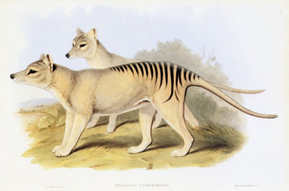 Dimensions 7280 x 4820 pixels