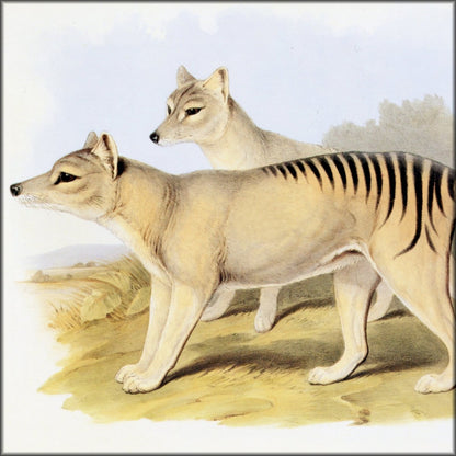 Digital Download - 1 image