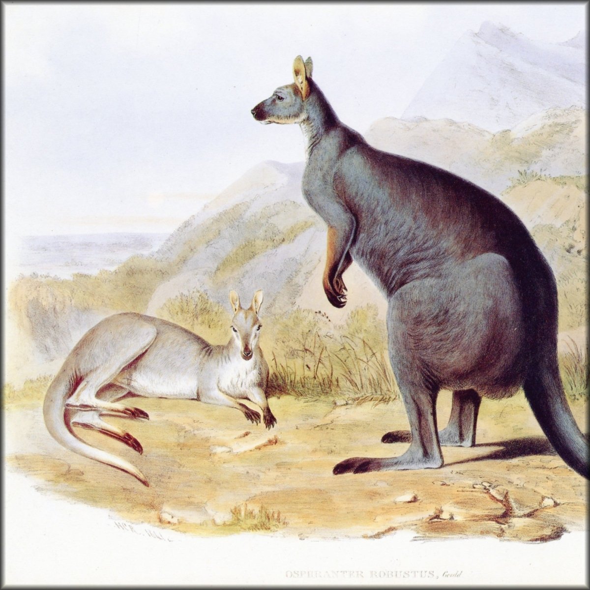 Digital Download - 1 image