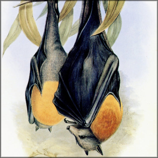 Digital Download - 1 image