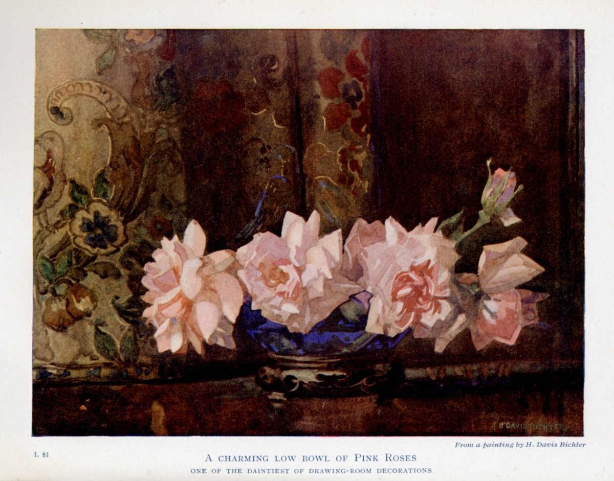 Dimensions 4720 x 3704 pixels