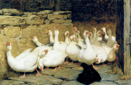 Dimensions 5005 x 3255 pixels