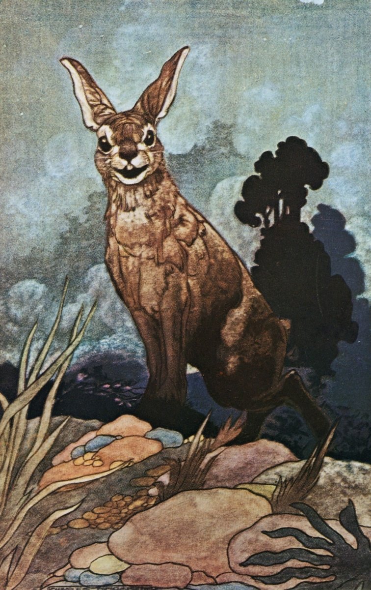 Dimensions 3710 x 5890 pixels