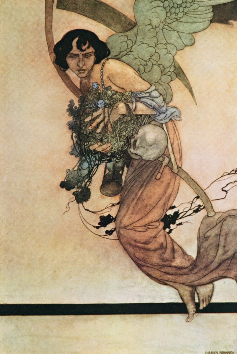 Dimensions 3860 x 5750 pixels