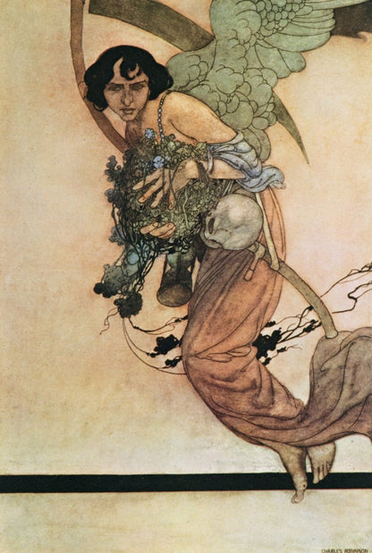 Dimensions 3860 x 5750 pixels