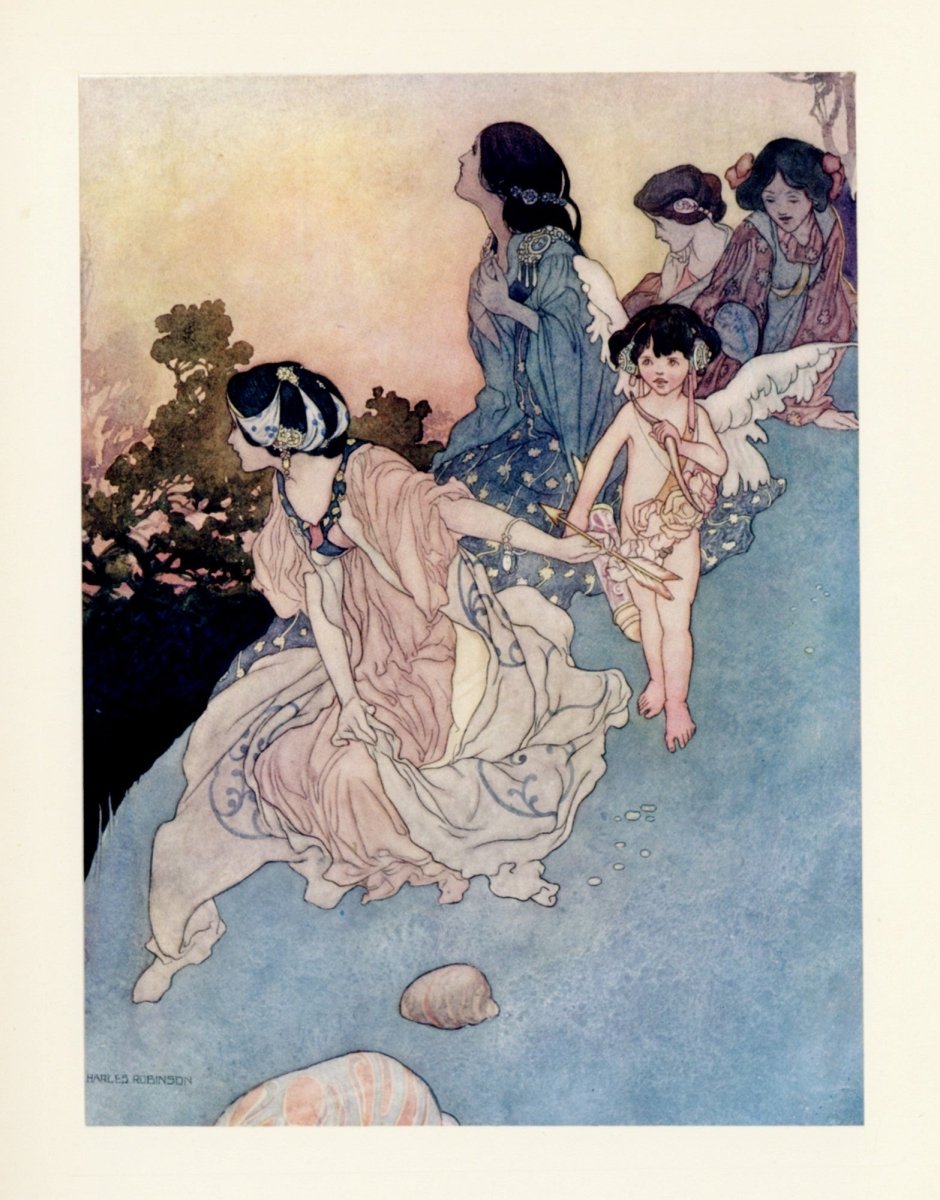 Dimensions 3555 x 4536 pixels