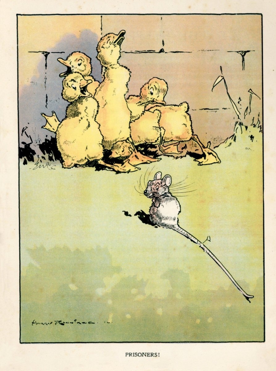 Dimensions 4596 x 6168 pixels