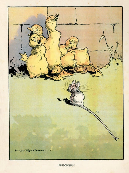 Dimensions 4596 x 6168 pixels