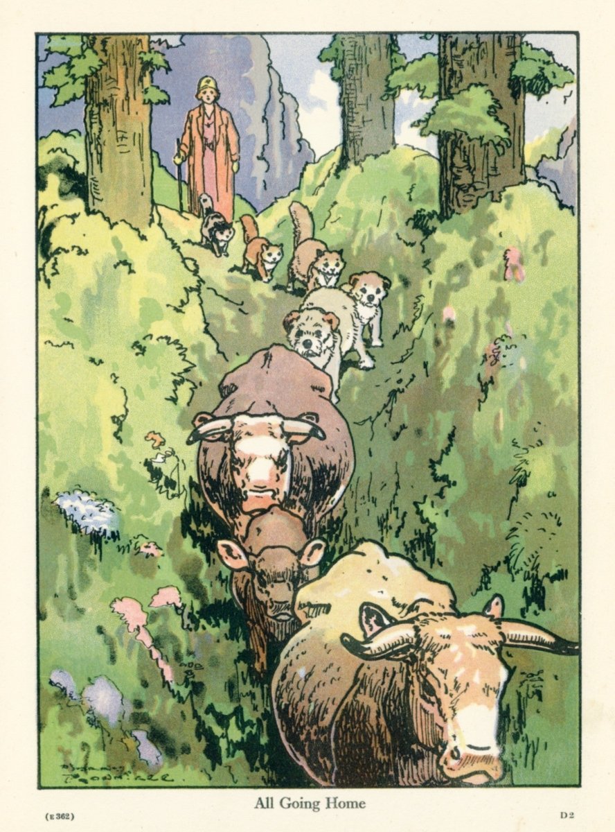 Dimensions 3942 x 5328 pixels