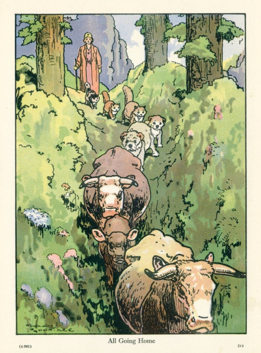 Dimensions 3942 x 5328 pixels