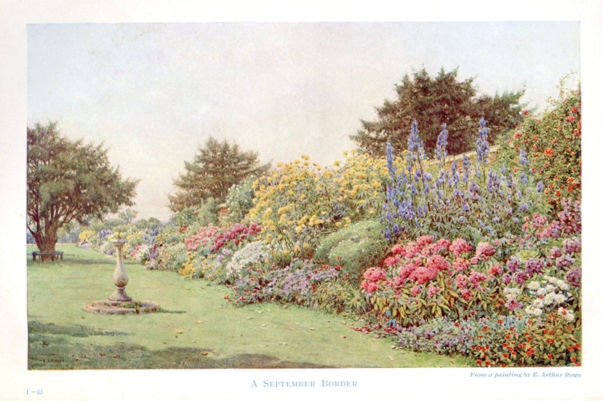 Dimensions 5240 x 3488 pixels