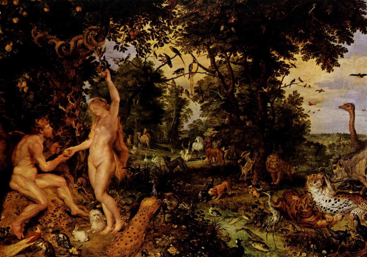 Dimensions 8602 x 6028 pixels