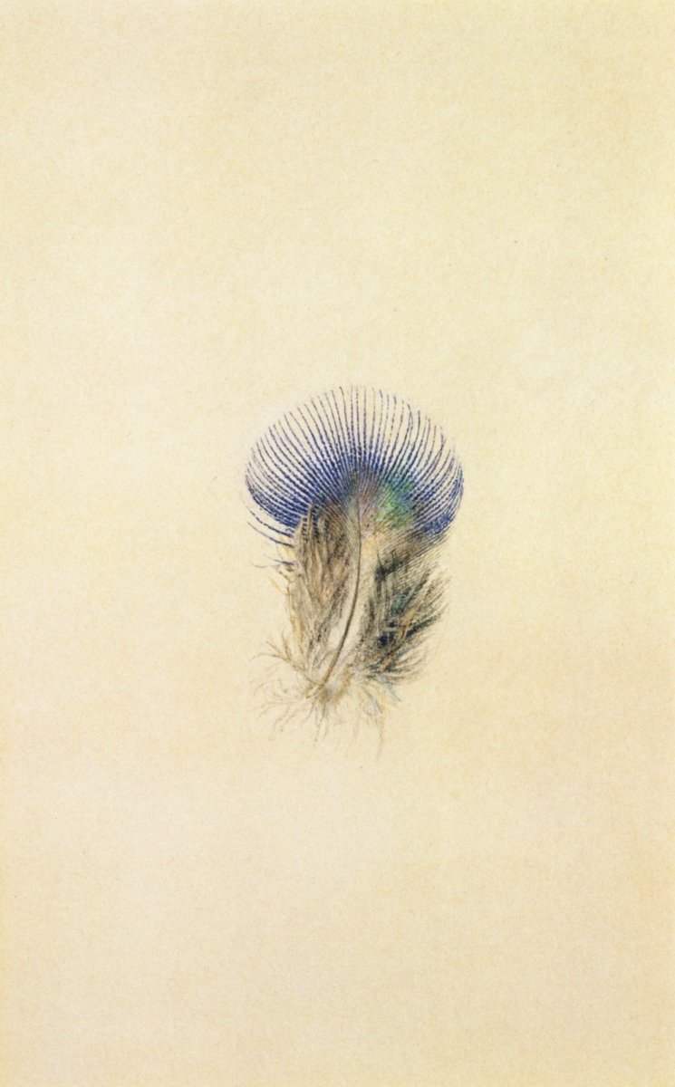 Dimensions 3680 x 5930 pixels