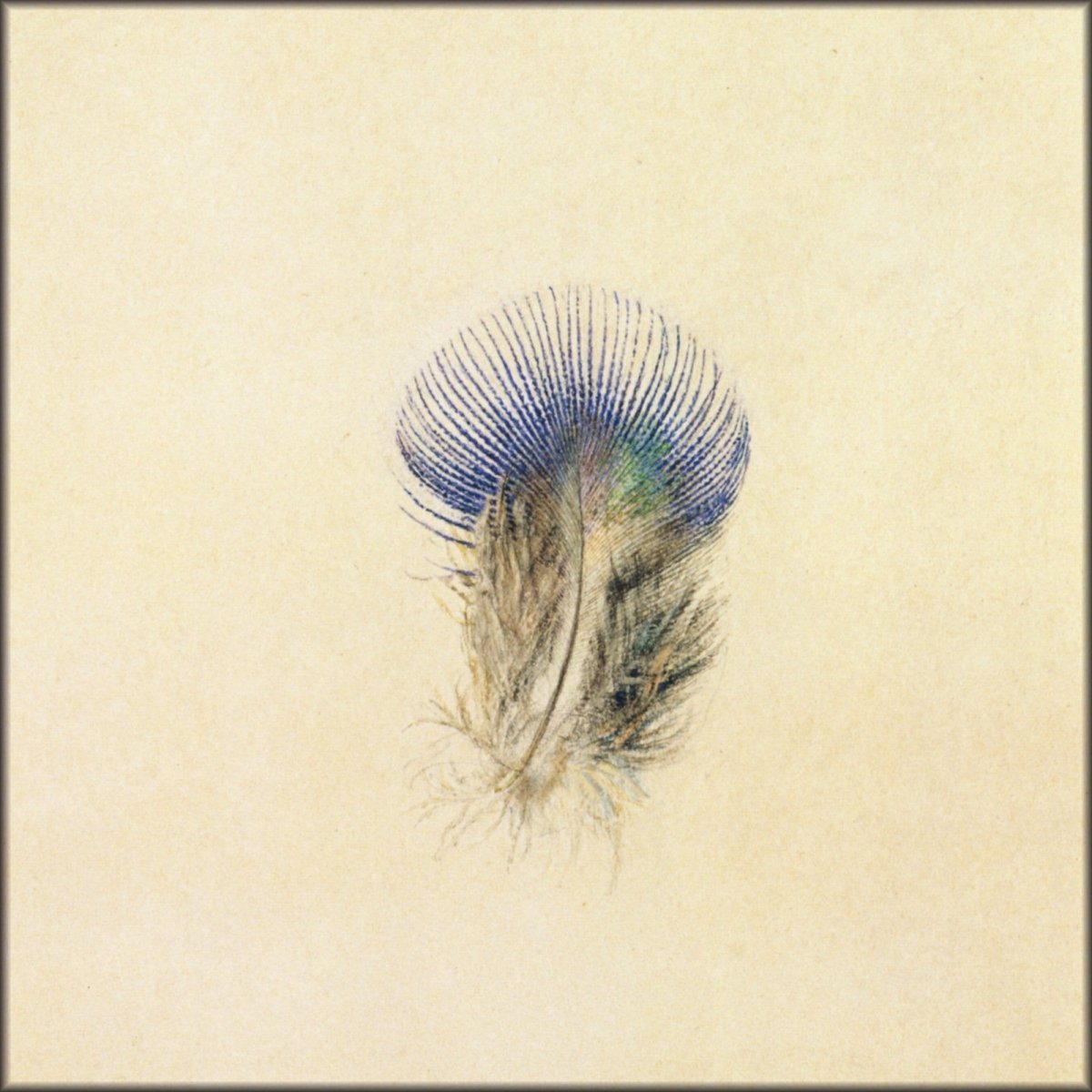 Digital Download - 1 image