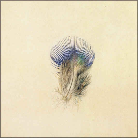 Digital Download - 1 image