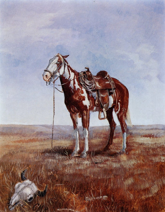 Dimensions 4014 x 5148 pixels