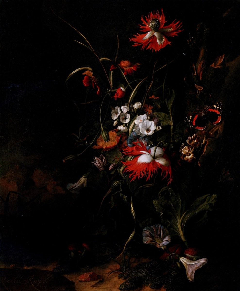 Dimensions 4360 x 5296 pixels