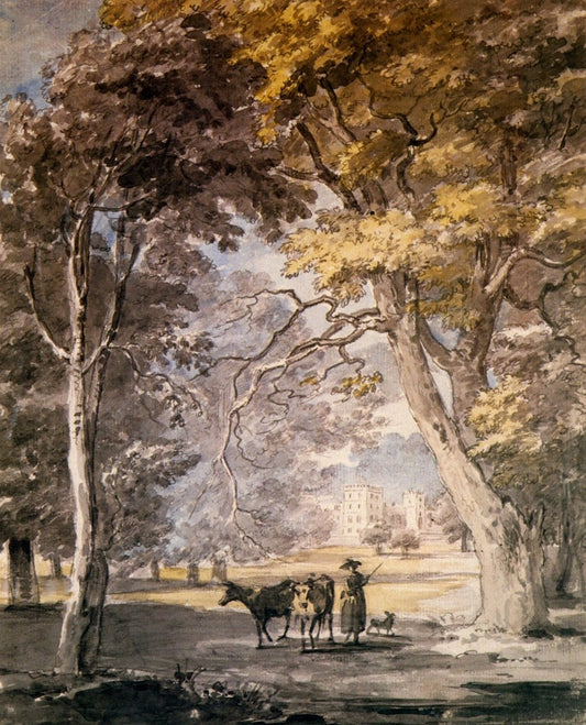 Dimensions 4734 x 5859 pixels