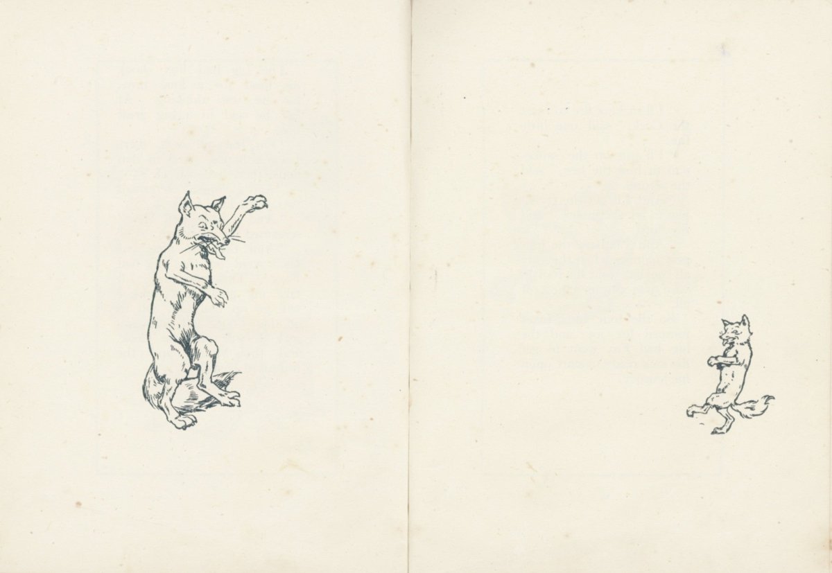 Dimensions 6363 x 4383 pixels