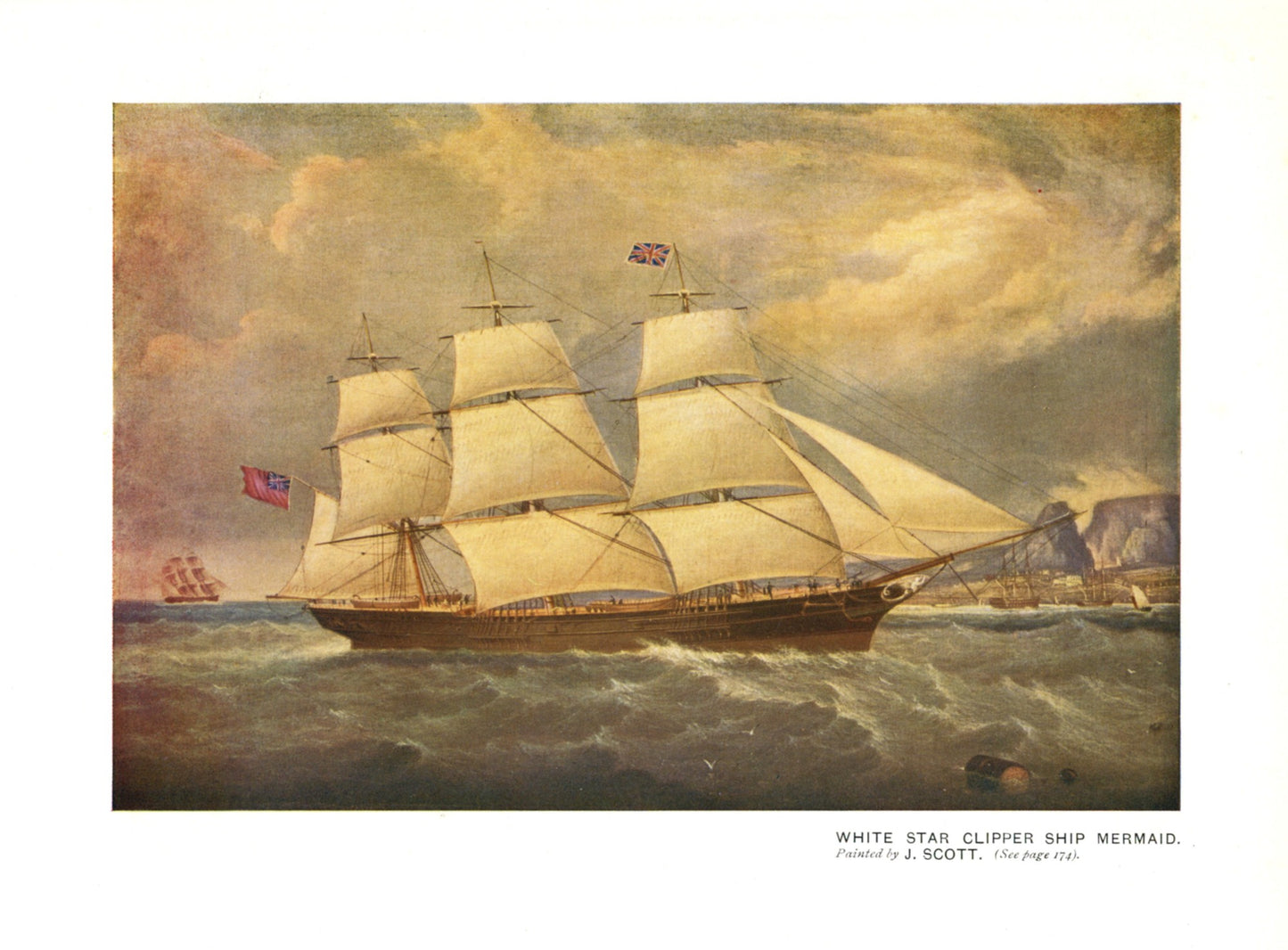 Dimensions 5446 x 4018 pixels