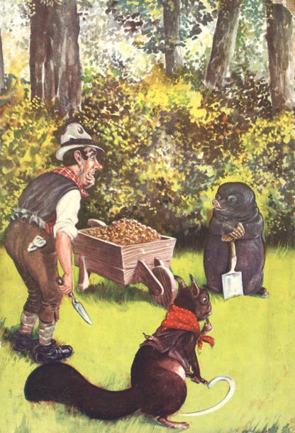 Dimensions 4432 x 6496 pixels