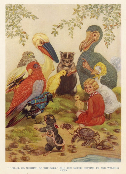 Dimensions 3955 x 5467 pixels