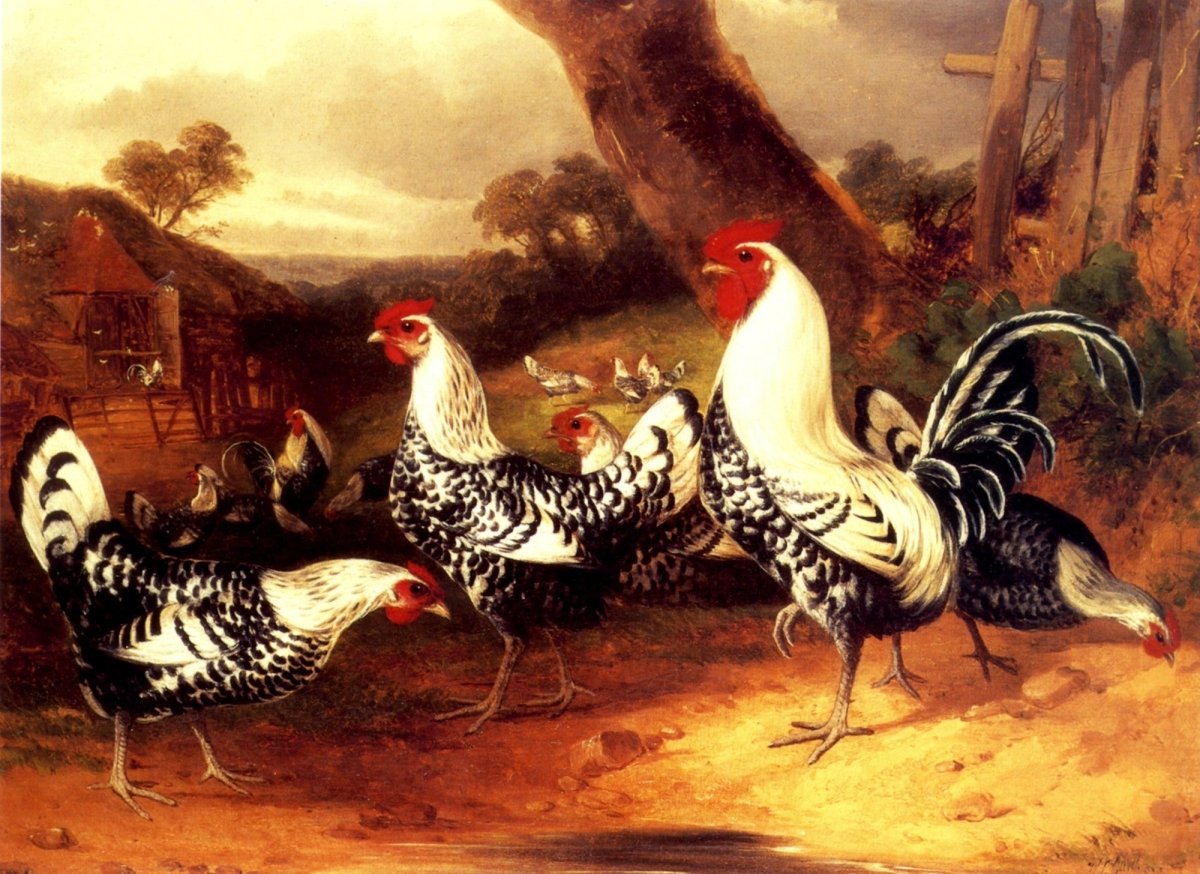 Dimensions 4599 x 3348 pixels