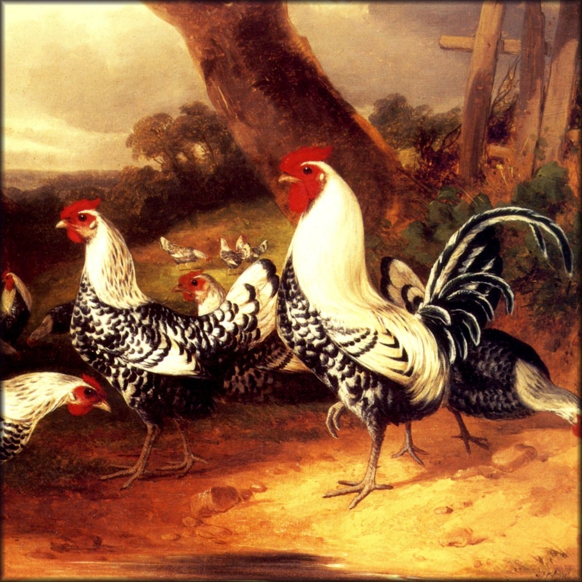 Digital Download - 1 image