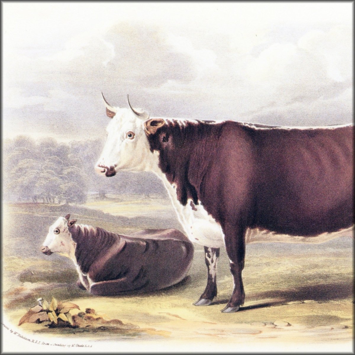 Digital Download - 1 image