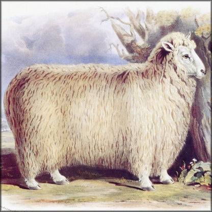 Digital Download - 1 image