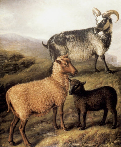 Dimensions 3760 x 4552 pixels