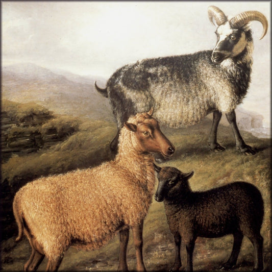 Digital Download - 1 image