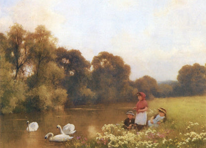 Dimensions 4644 x 3354 pixels