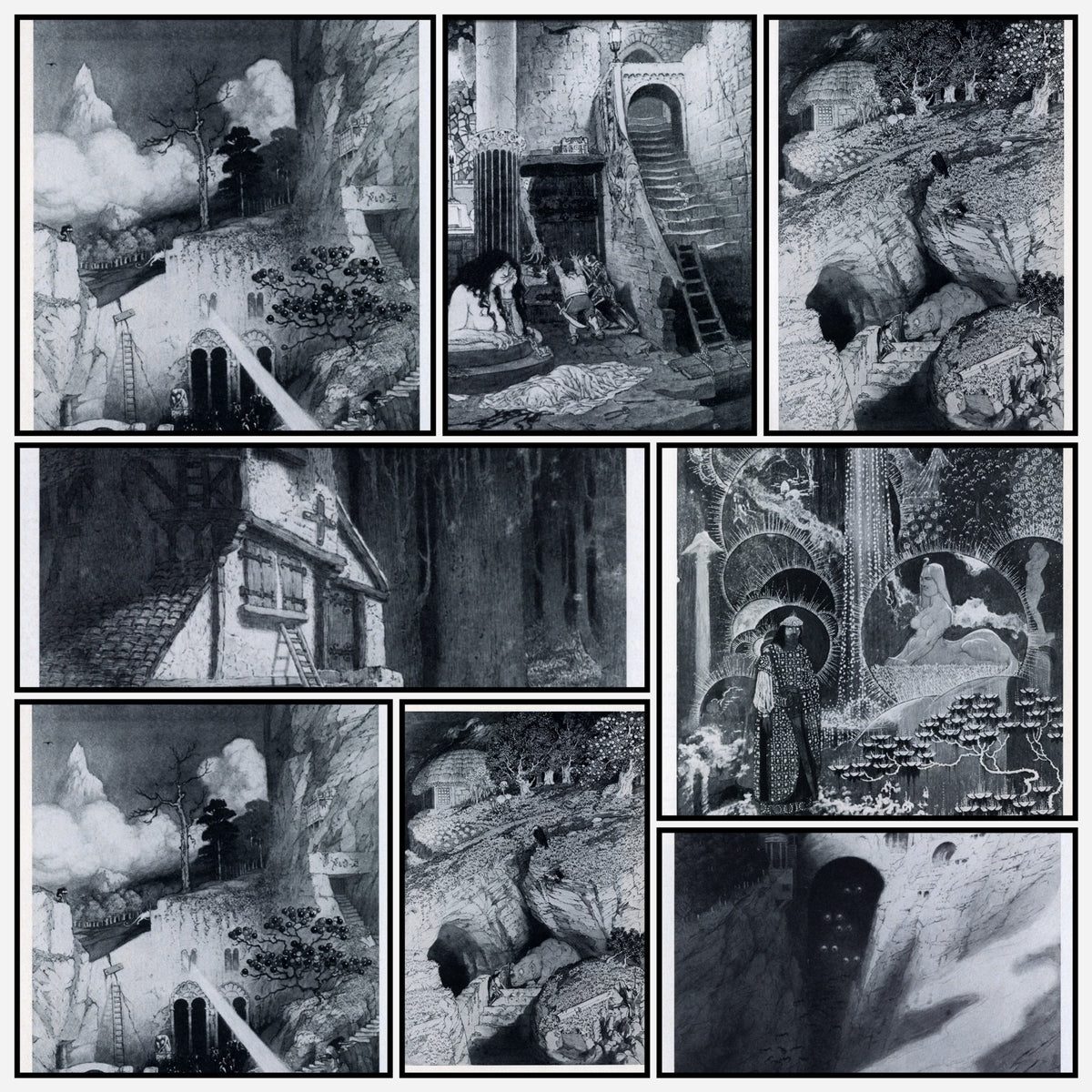 A snapshot of the images