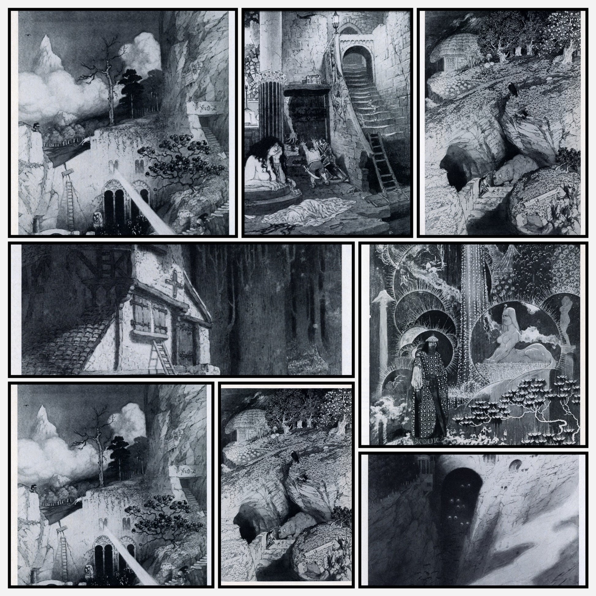 A snapshot of the images