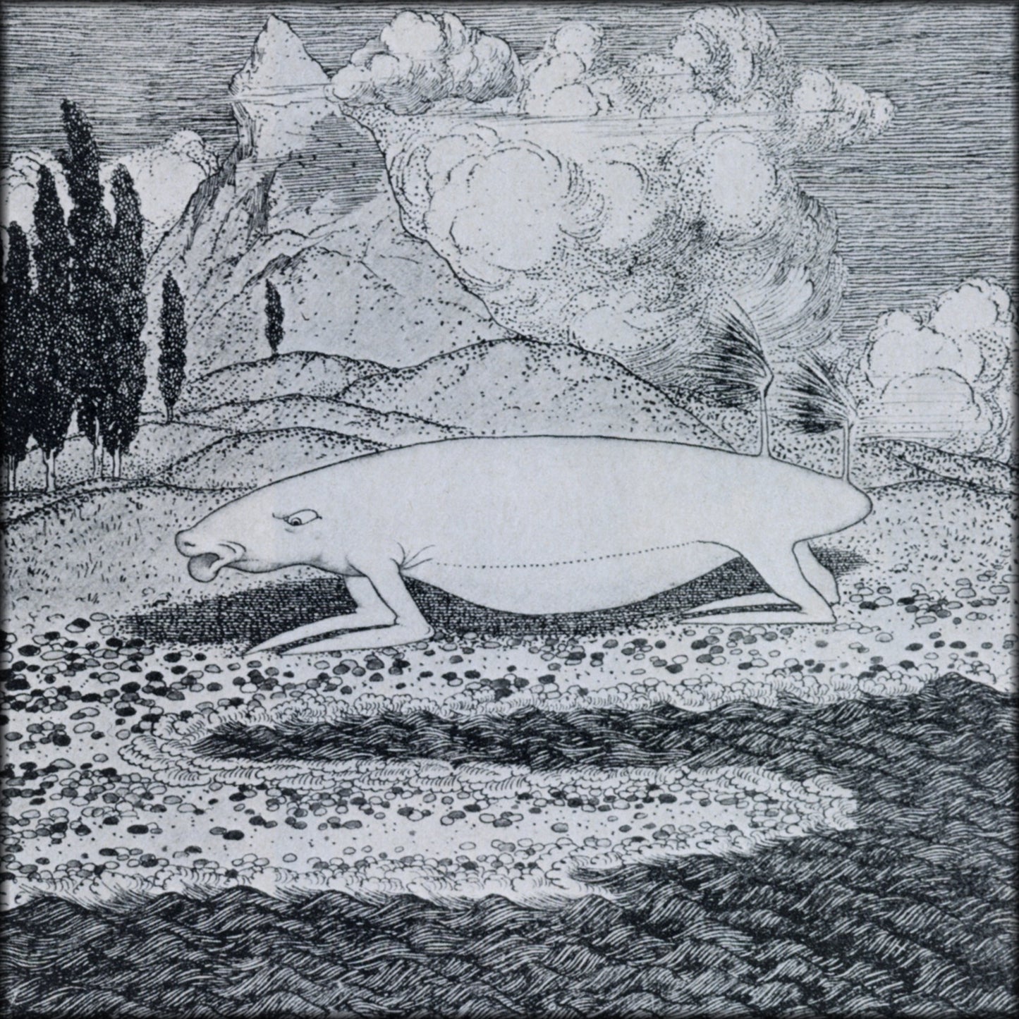 Digital Download - 1 image