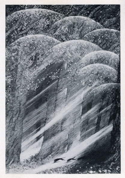 Dimensions 4500 x 6417 pixels 