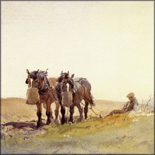 Digital Download - 1 image