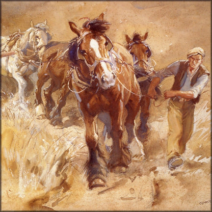 Digital Download - 1 image