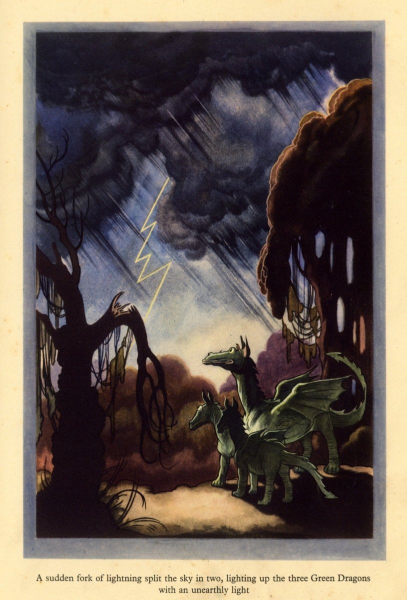 Dimensions 3536 x 5208 pixels 