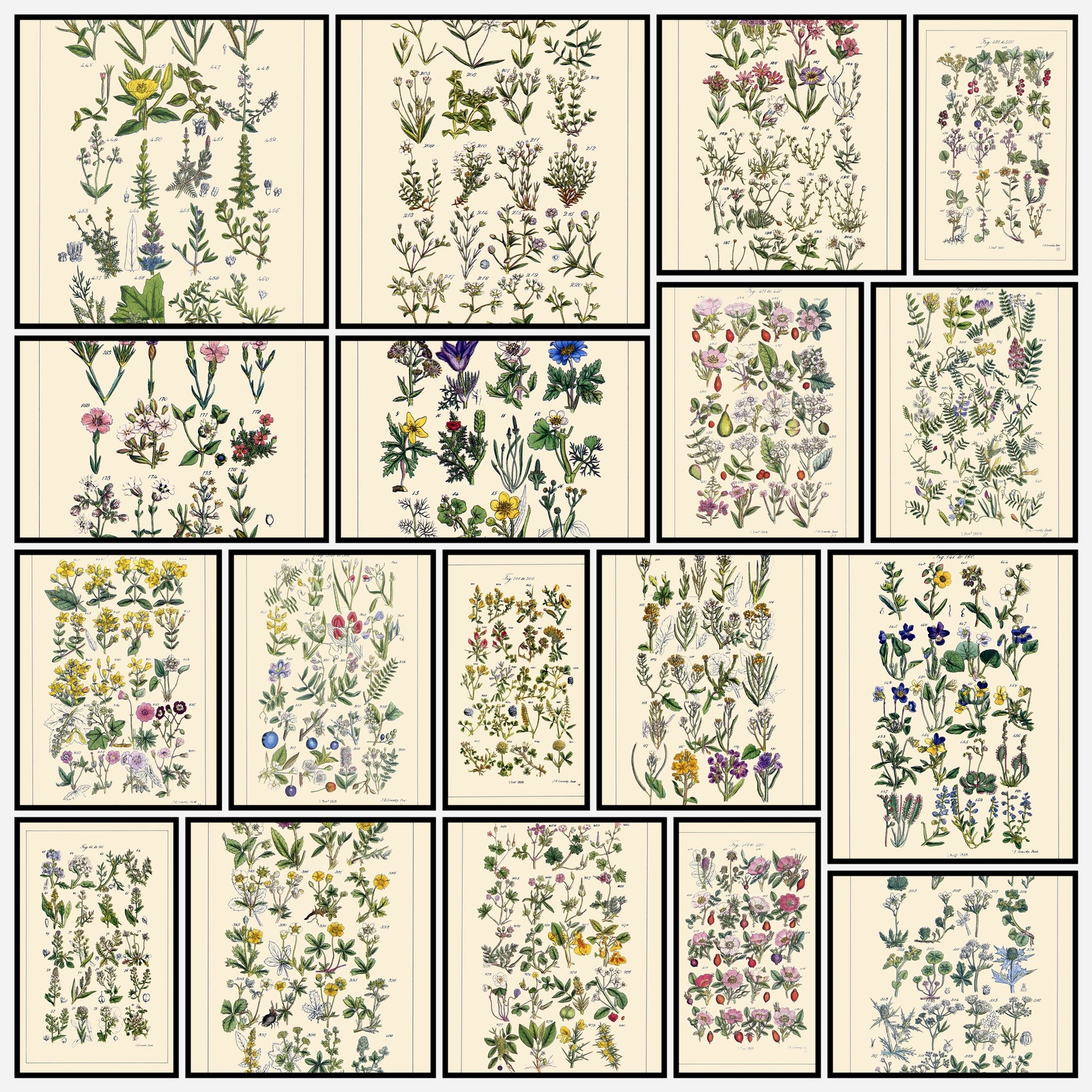 A snapshot of some of the images